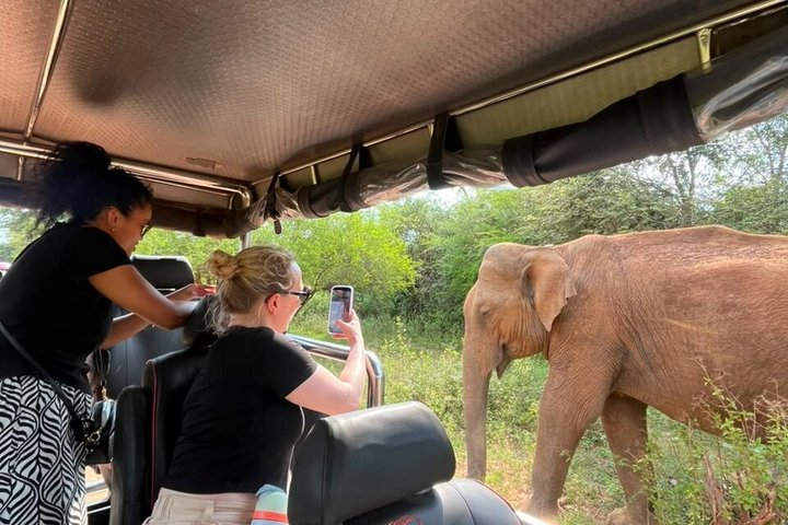 Udawalawe National Park - Half Day Safari Tour - Photo 1 of 25